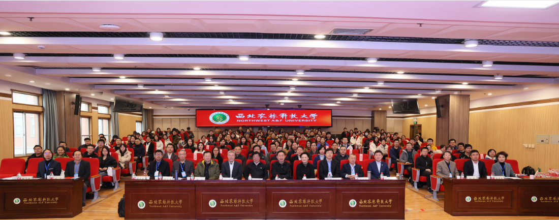 QQ截图20231113082558.png