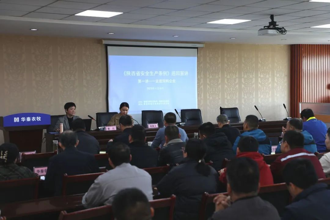 培训会现场.jpg