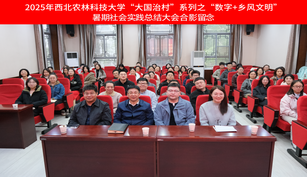 活动现场.png