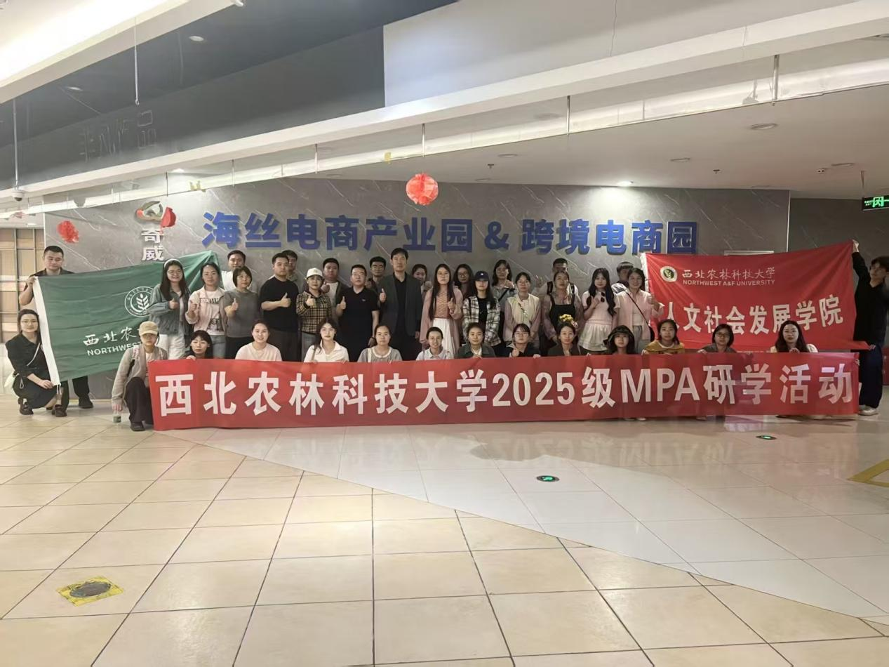 图片 6.png
