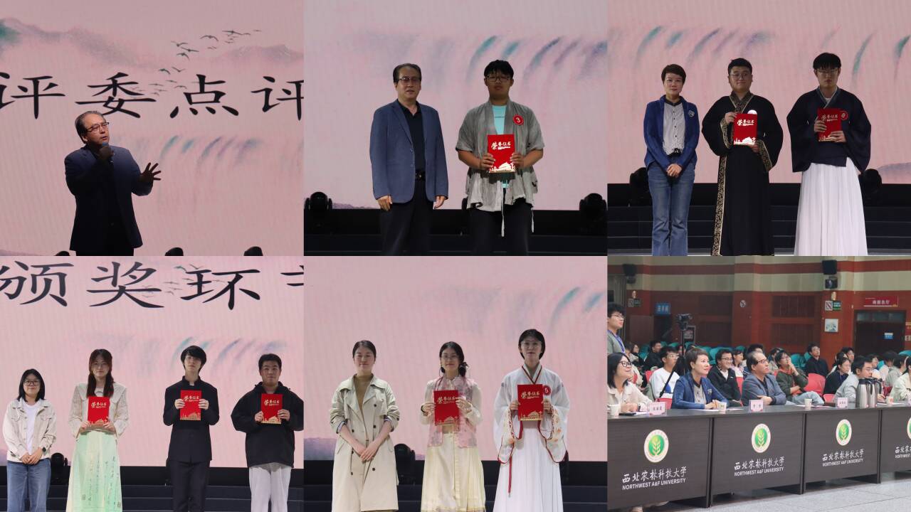 照片2.jpg
