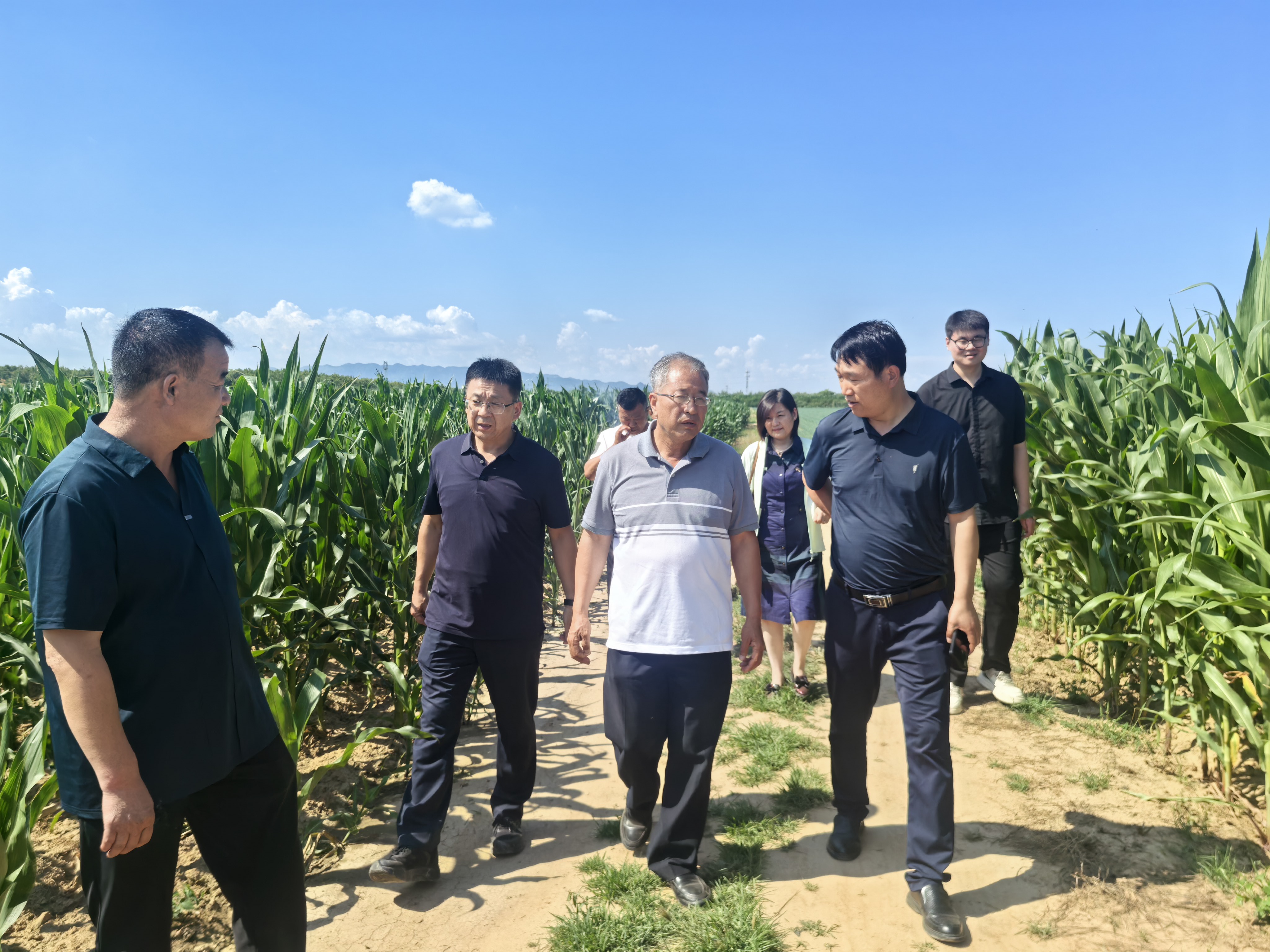 赴农田实地考察.jpg