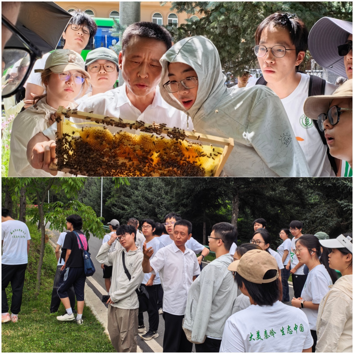 现场教学1213.jpg